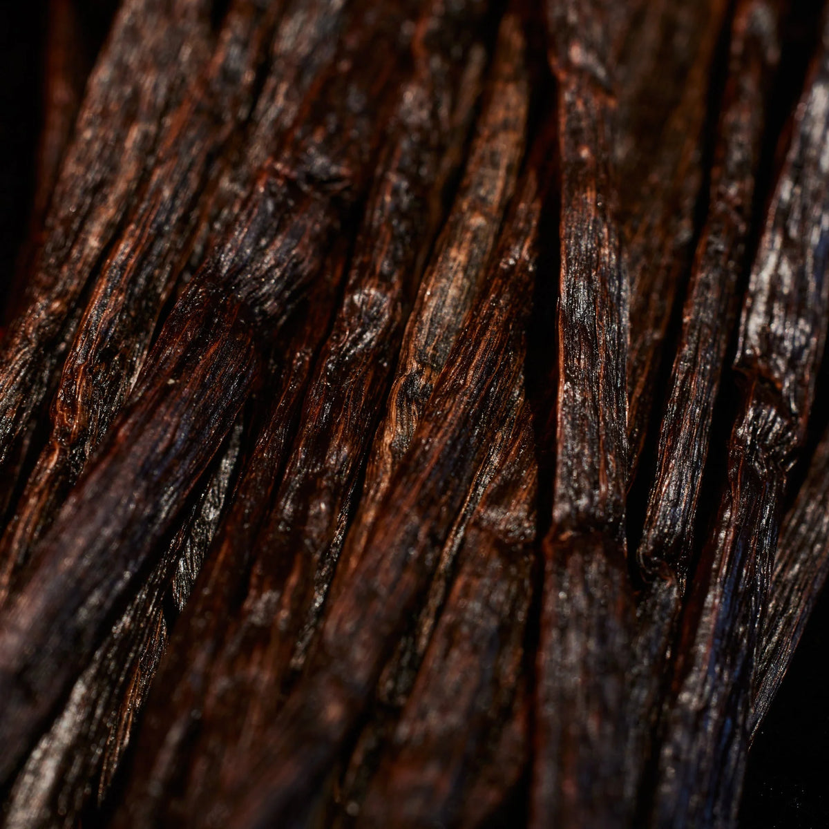 Oudgasm Tobacco Oud | 04