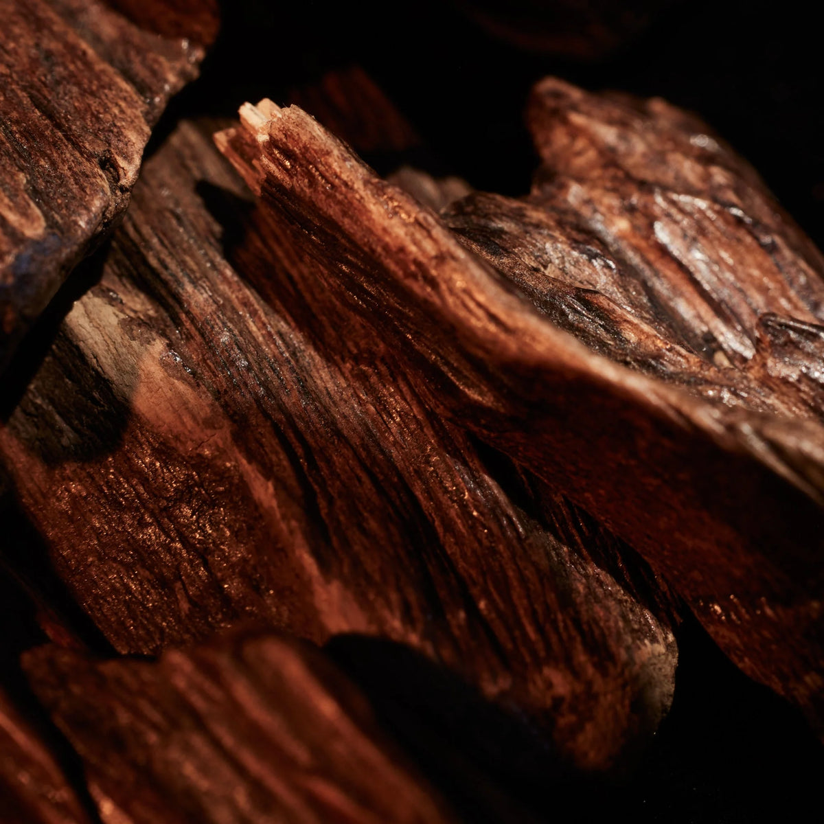 Oudgasm Smoky Oud | 07